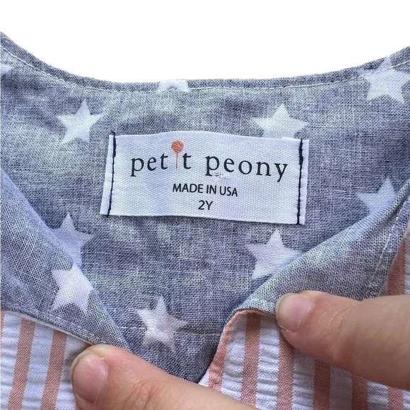 2T American flag Petit Peony Dress - Picture 5 of 5